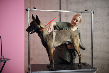 Similar image 22260765