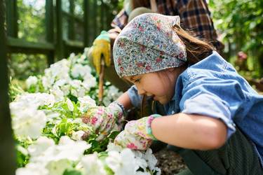 Similar image 22262419