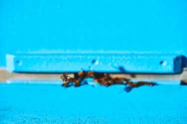 Similar image 22261400