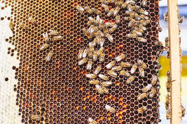 Similar image 22261363