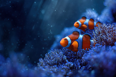 Similar image 22265725