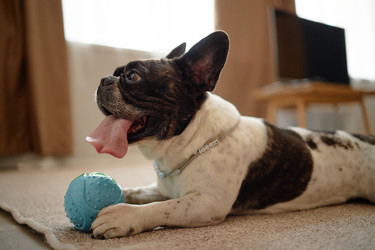 Similar image 22260881