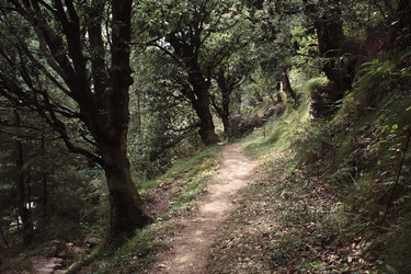 Similar image 22263811