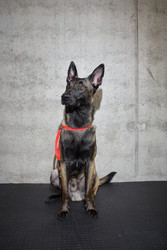 Similar image 22260784