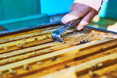 Similar image 22261376