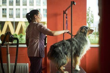 Similar image 22263198