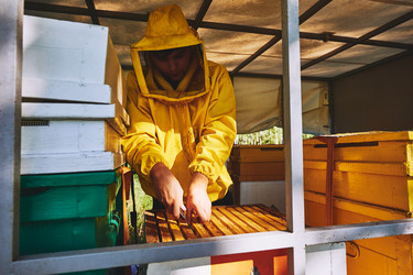 Similar image 22261414