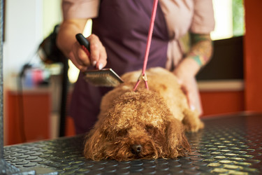 Similar image 22263249