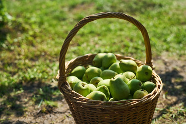 Similar image 22262462