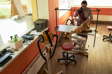 Similar image 22263218