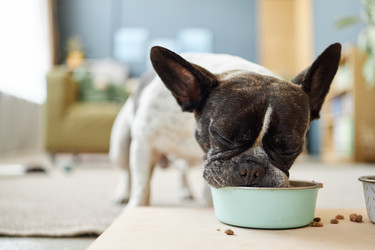 Similar image 22260906