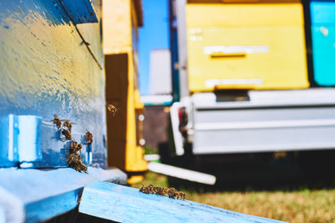 Similar image 22261410