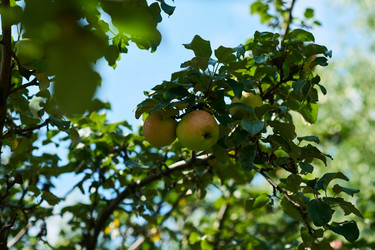 Similar image 22262472