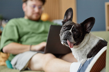 Similar image 22260897