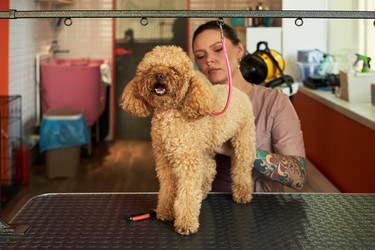 Similar image 22263201