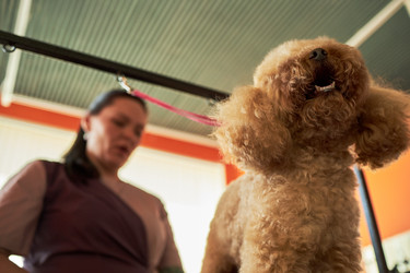 Similar image 22263222