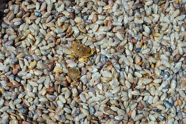 Similar image 22263818