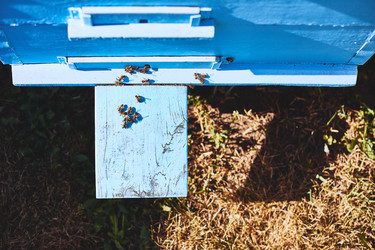 Similar image 22261345