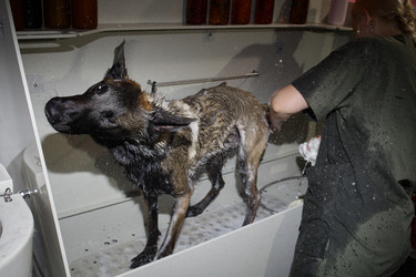 Similar image 22260777