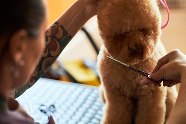 Similar image 22263255