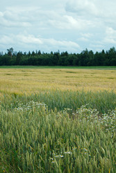 Similar image 22263854