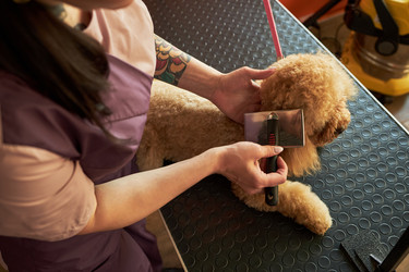 Similar image 22263216