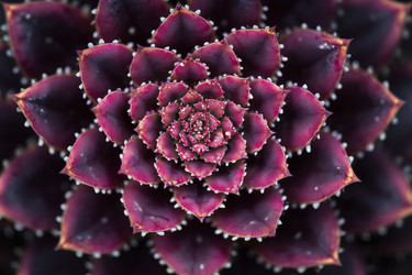 Similar image 22265761