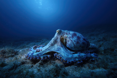 Similar image 22265721