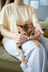 Similar image 22260919