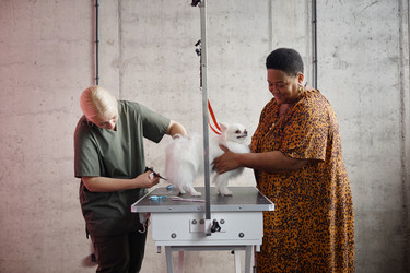 Similar image 22260758