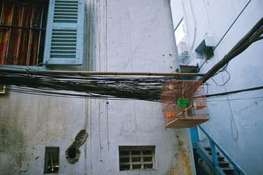 Similar image 22263813