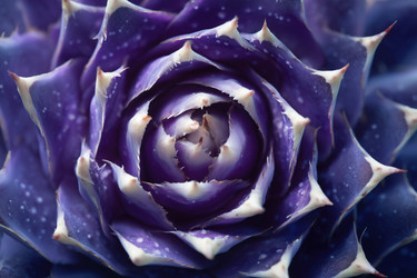 Similar image 22265714