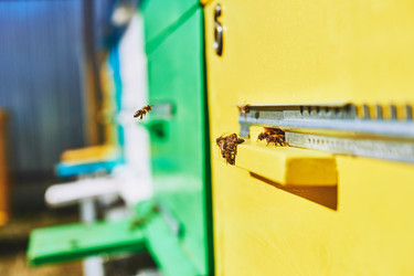 Similar image 22261408