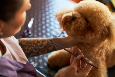 Similar image 22263257