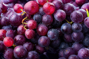 Similar image 22265759