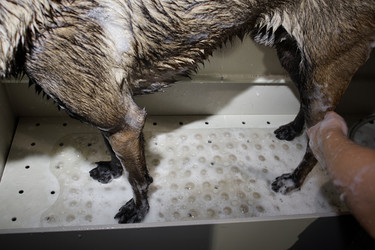 Similar image 22260778