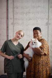 Similar image 22260759