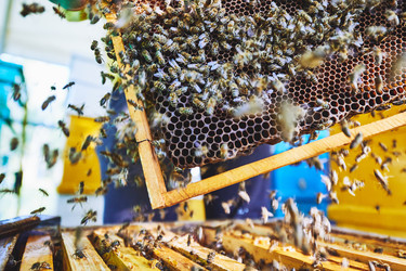 Similar image 22261388