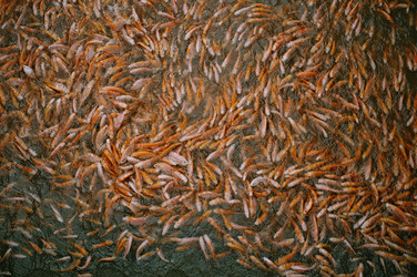 Similar image 22263810