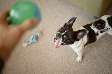 Similar image 22260880