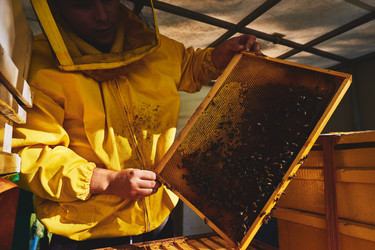 Similar image 22261360