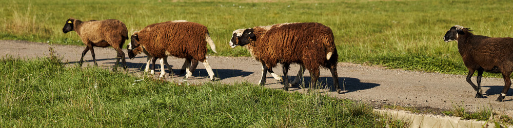 Similar image 22306481