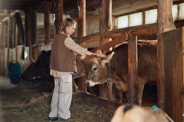 Similar image 22303193