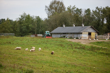 Similar image 22303115