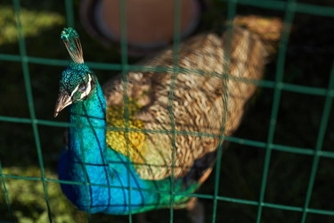 Similar image 22306418