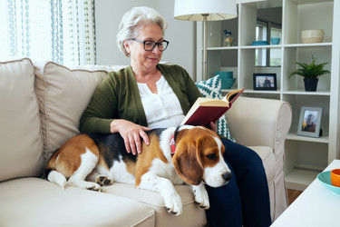 Similar image 22307087