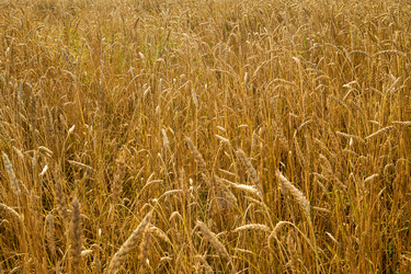 Similar image 22304709