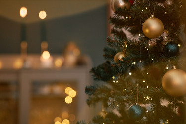 Similar image 22303252