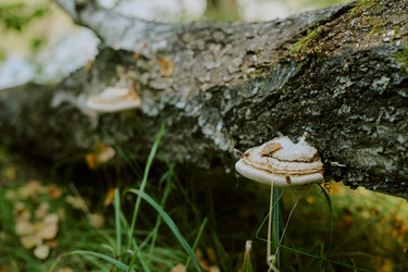 Similar image 22305293