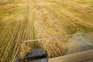 Similar image 22304602